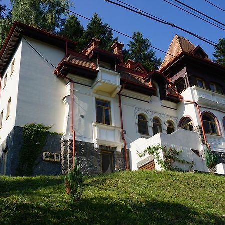 Vila Arizto Σινάια Εξωτερικό φωτογραφία