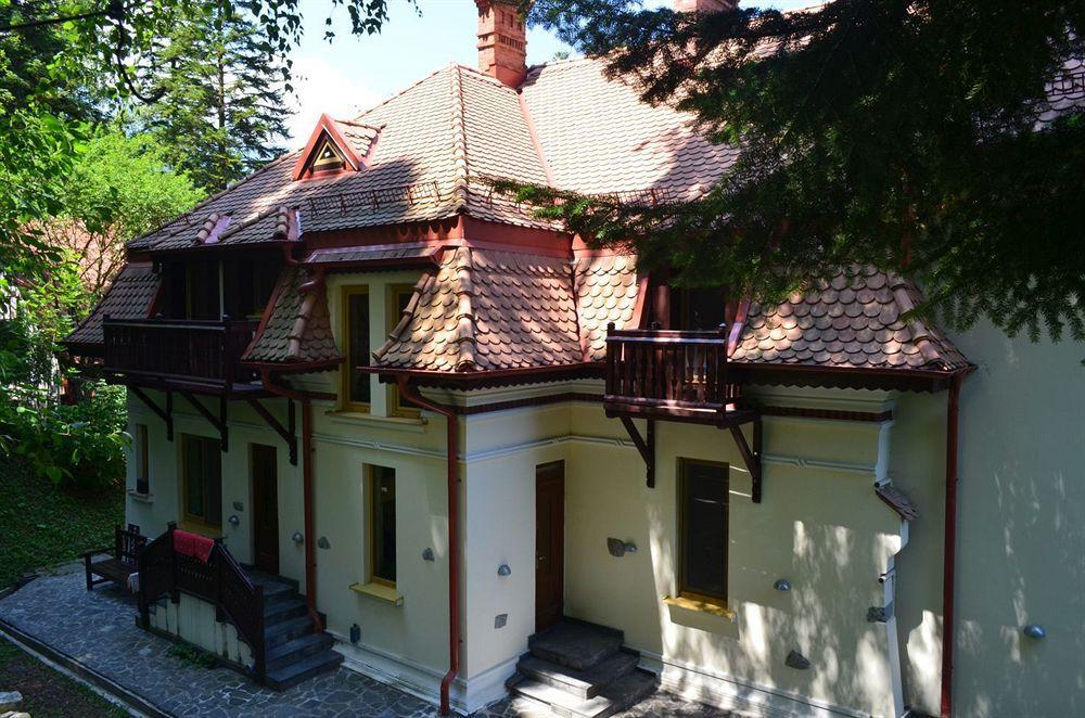 Vila Arizto Σινάια Εξωτερικό φωτογραφία