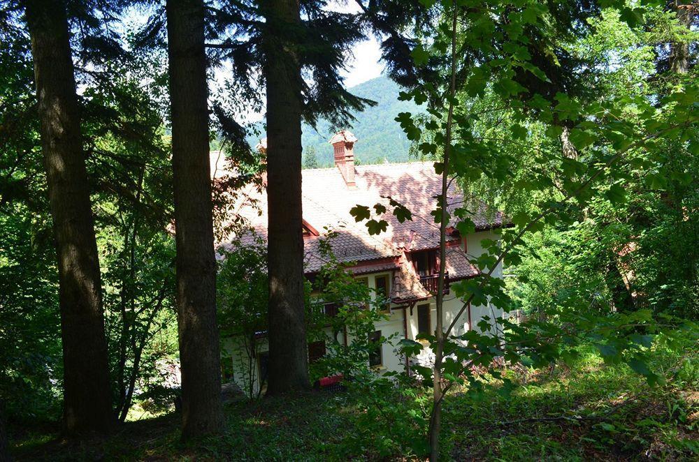 Vila Arizto Σινάια Εξωτερικό φωτογραφία