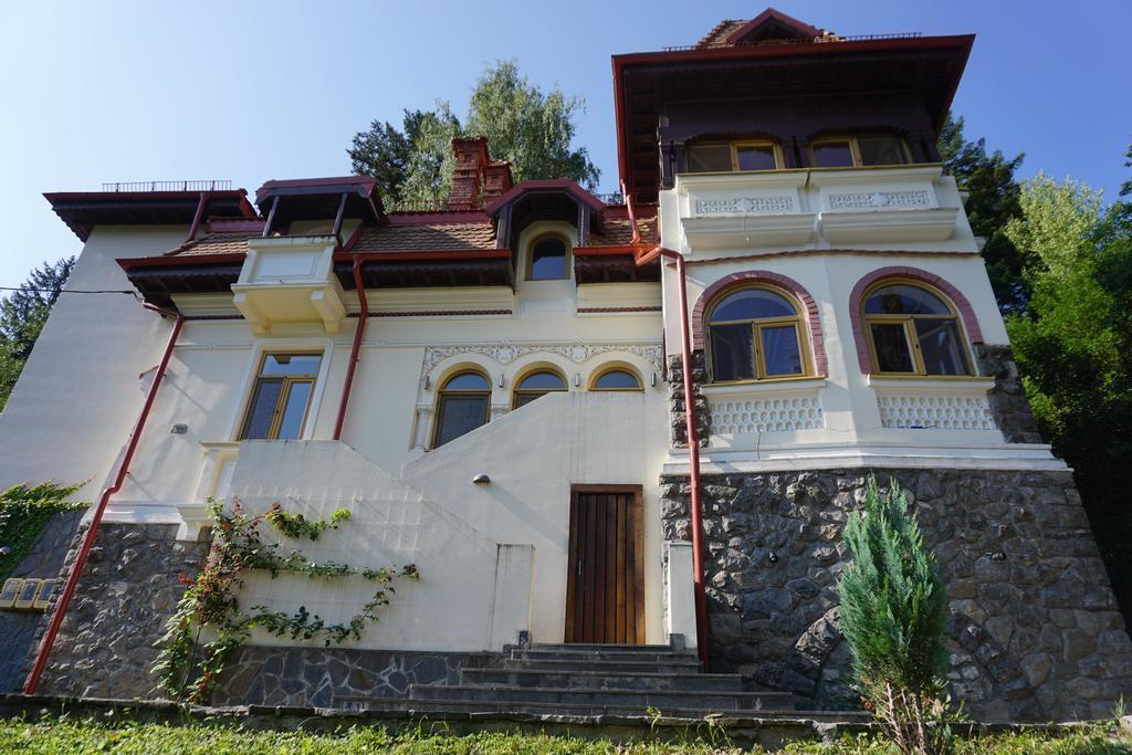 Vila Arizto Σινάια Εξωτερικό φωτογραφία