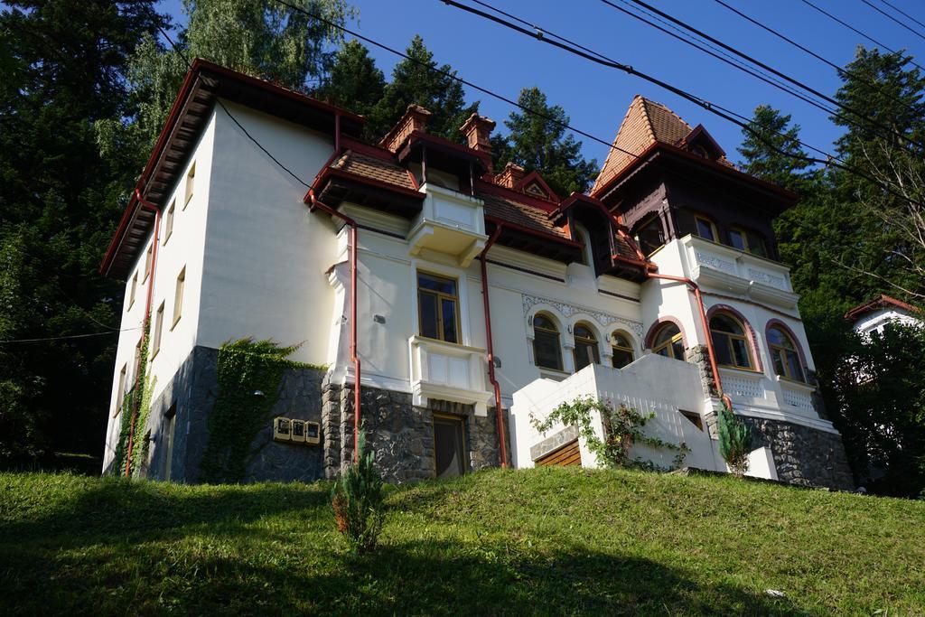 Vila Arizto Σινάια Εξωτερικό φωτογραφία