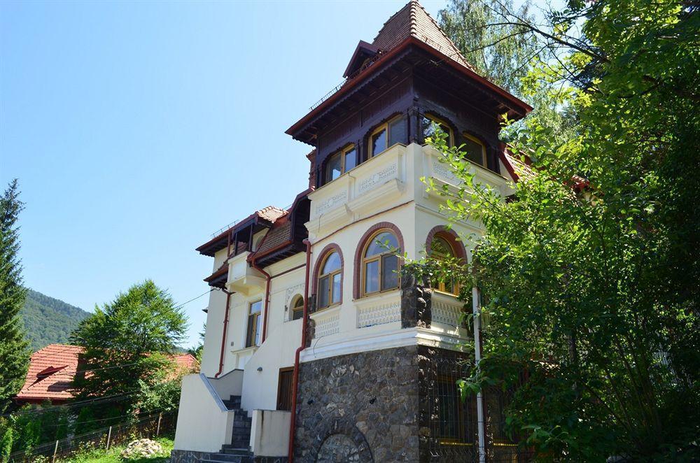 Vila Arizto Σινάια Εξωτερικό φωτογραφία