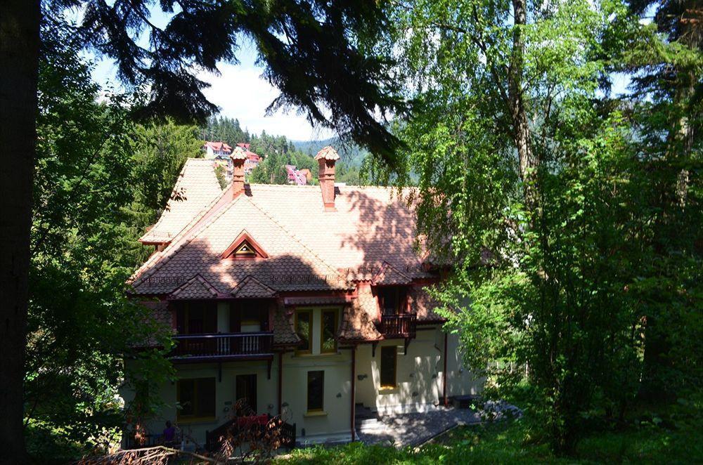 Vila Arizto Σινάια Εξωτερικό φωτογραφία