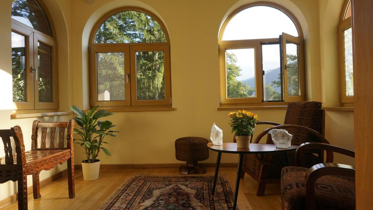 Vila Arizto Σινάια Εξωτερικό φωτογραφία